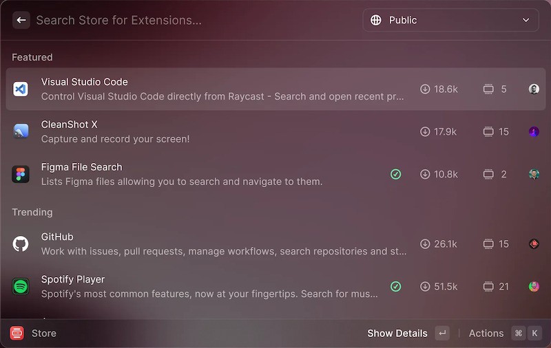 Raycast Screenshot